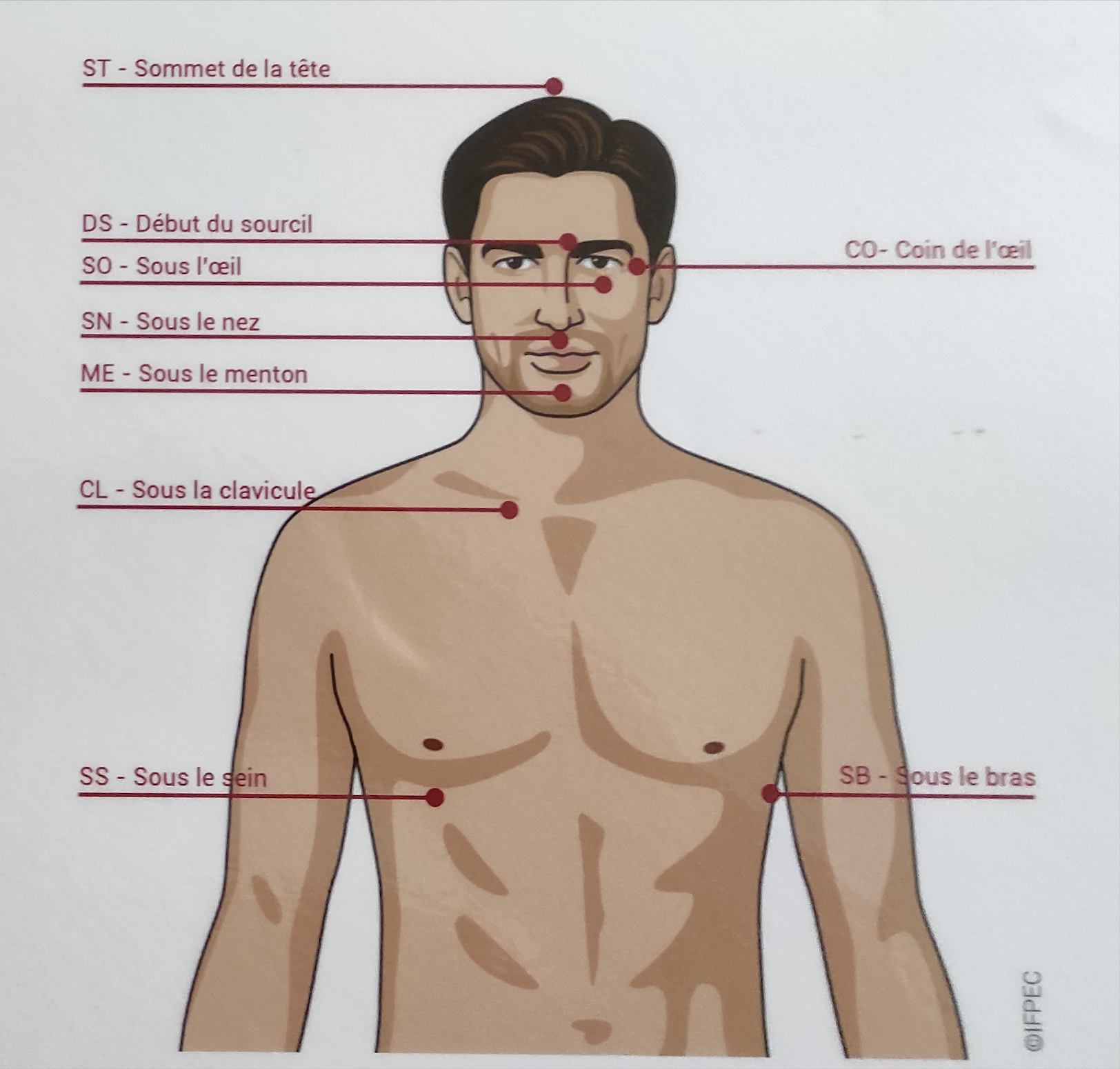 schéma des points d'acupression utilisés en EFT sur le corps